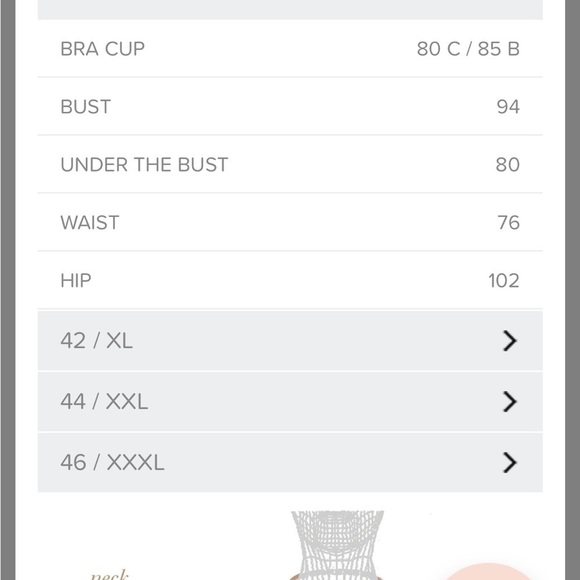 Nwt Maria Lucia Hohan Venus Strapless Metallic Plisse Midi Dress - Size 8 - Picture 13 of 16